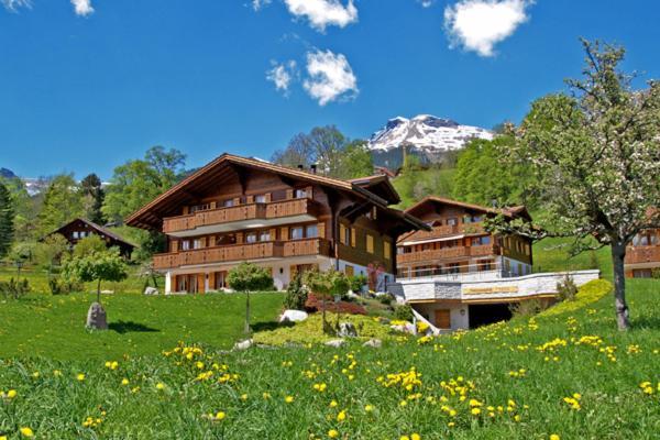 2-Star Griwarent Apartments Grindelwald Pokój zdjęcie