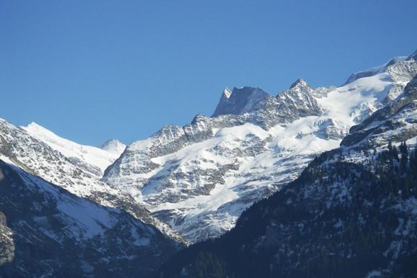 2-Star Griwarent Apartments Grindelwald Pokój zdjęcie